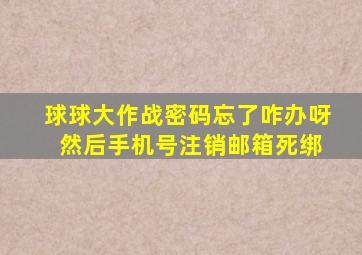 球球大作战密码忘了咋办呀 然后手机号注销邮箱死绑